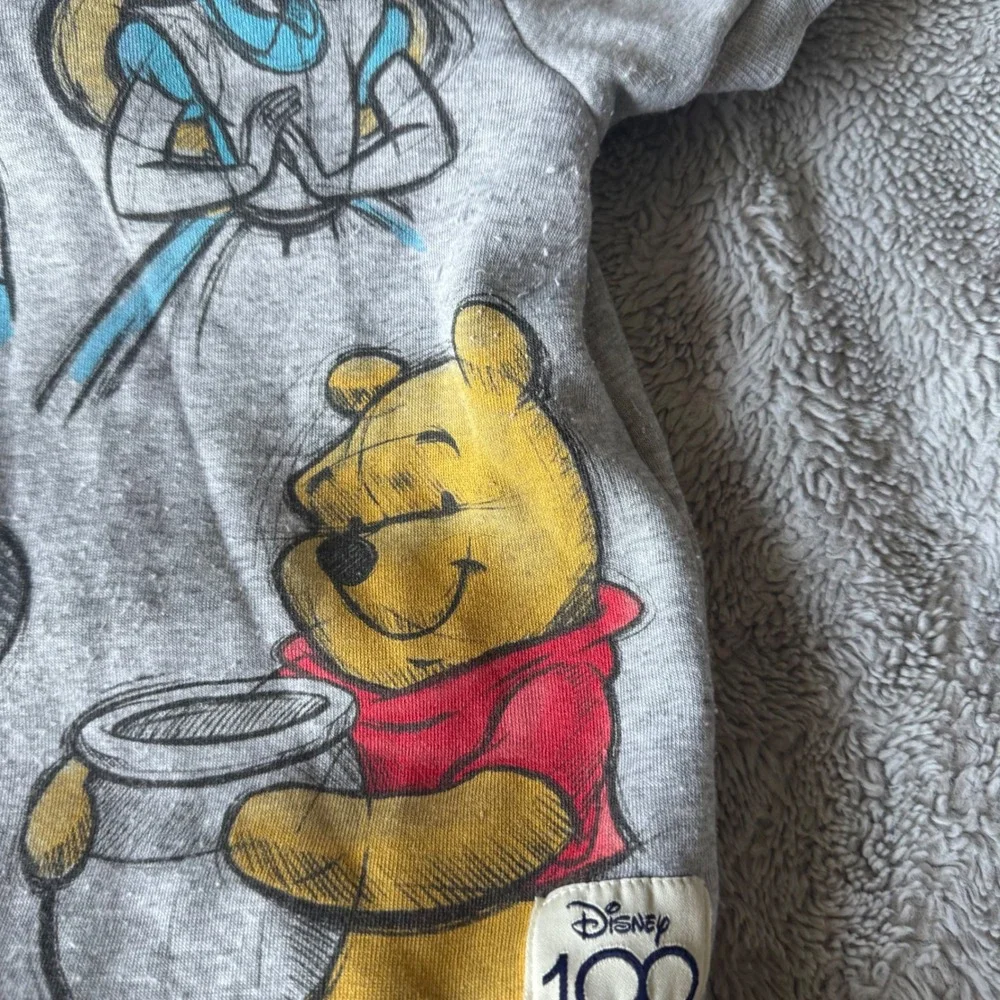 Disney 100‎ Anniversary Hoodie Tulle Dress Girls 10/12 Minnie Pooh Ears